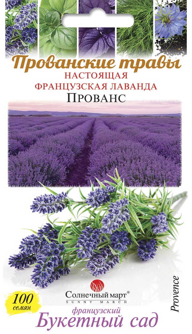 Лаванда Прованс